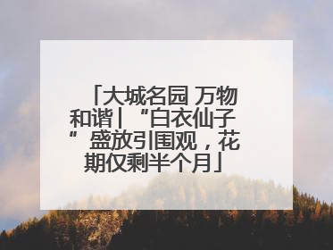 大城名园 万物和谐│“白衣仙子”盛放引围观，花期仅剩半个月