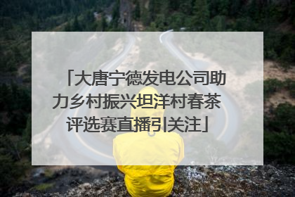 大唐宁德发电公司助力乡村振兴坦洋村春茶评选赛直播引关注