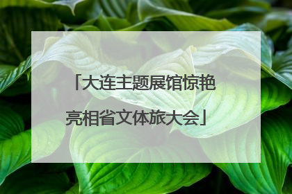 大连主题展馆惊艳亮相省文体旅大会