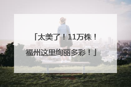 太美了！11万株！福州这里绚丽多彩！