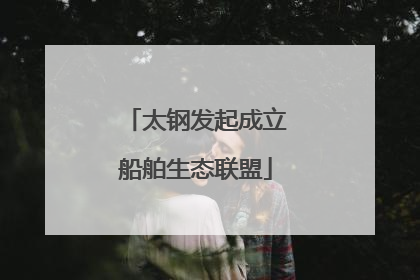 太钢发起成立船舶生态联盟
