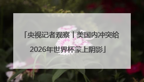 央视记者观察丨美国内冲突给2026年世界杯蒙上阴影