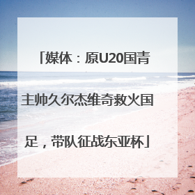 媒体：原U20国青主帅久尔杰维奇救火国足，带队征战东亚杯