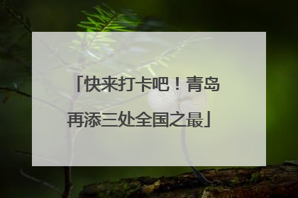 快来打卡吧！青岛再添三处全国之最