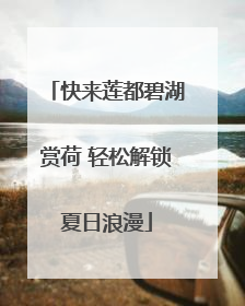 快来莲都碧湖赏荷 轻松解锁夏日浪漫