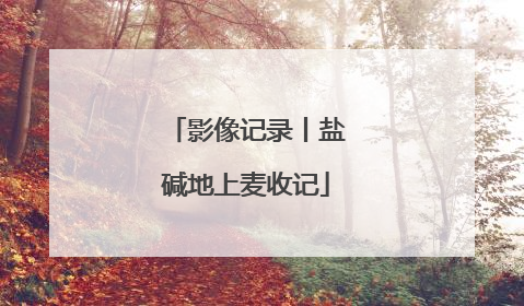 影像记录丨盐碱地上麦收记
