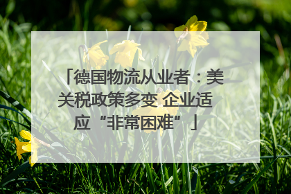 德国物流从业者：美关税政策多变 企业适应“非常困难”
