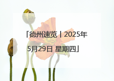 德州速览丨2025年5月29日 星期四