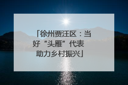 徐州贾汪区：当好“头雁”代表 助力乡村振兴