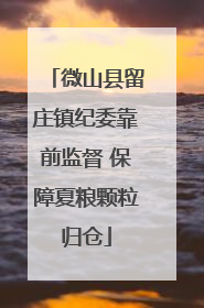 微山县留庄镇纪委靠前监督 保障夏粮颗粒归仓