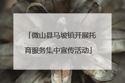 微山县马坡镇开展托育服务集中宣传活动
