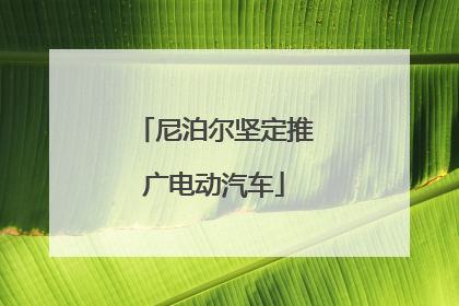 尼泊尔坚定推广电动汽车