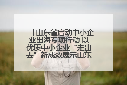 山东省启动中小企业出海专项行动 以优质中小企业“走出去”新成效展示山东产业发展新形象