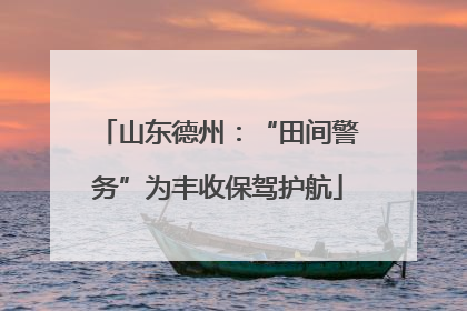 山东德州：“田间警务”为丰收保驾护航