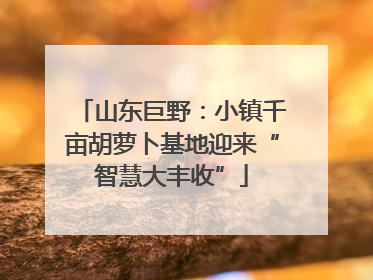 山东巨野：小镇千亩胡萝卜基地迎来“智慧大丰收”