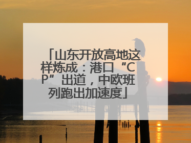 山东开放高地这样炼成：港口“CP”出道，中欧班列跑出加速度