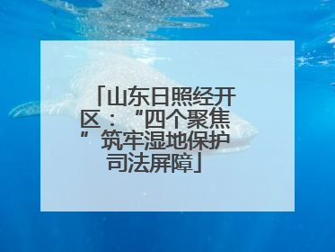 山东日照经开区：“四个聚焦”筑牢湿地保护司法屏障