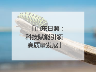 山东日照：科技赋能引领高质量发展