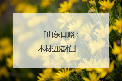 山东日照：木材进港忙