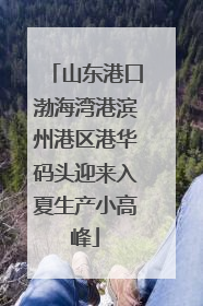 山东港口渤海湾港滨州港区港华码头迎来入夏生产小高峰