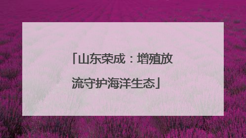 山东荣成：增殖放流守护海洋生态