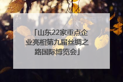 山东22家重点企业亮相第九届丝绸之路国际博览会