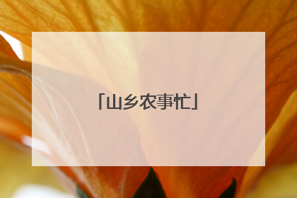 山乡农事忙