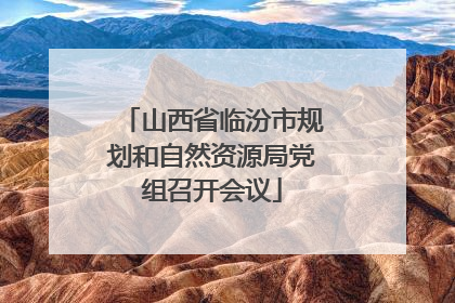 山西省临汾市规划和自然资源局党组召开会议