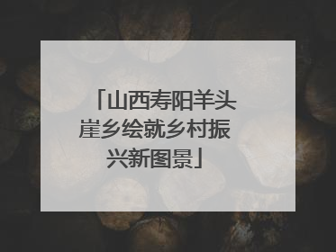 山西寿阳羊头崖乡绘就乡村振兴新图景