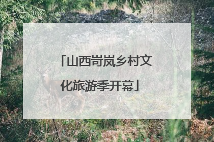 山西岢岚乡村文化旅游季开幕