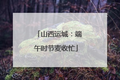 山西运城：端午时节麦收忙