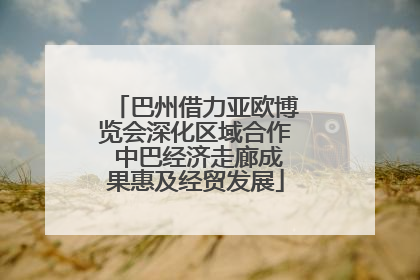 巴州借力亚欧博览会深化区域合作 中巴经济走廊成果惠及经贸发展