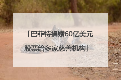 巴菲特捐赠60亿美元股票给多家慈善机构