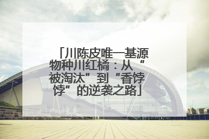 川陈皮唯一基源物种川红橘：从“被淘汰”到“香饽饽”的逆袭之路