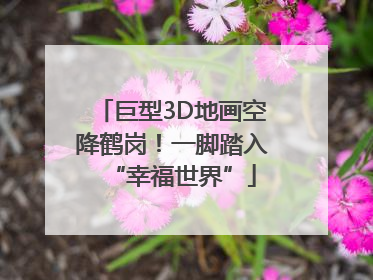 巨型3D地画空降鹤岗！一脚踏入“幸福世界”