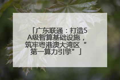 广东联通：打造5A级智算基础设施，筑牢粤港澳大湾区“第一算力引擎”