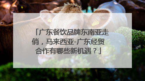 广东餐饮品牌东南亚走俏，马来西亚-广东经贸合作有哪些新机遇？