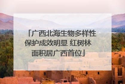 广西北海生物多样性保护成效明显 红树林面积居广西首位