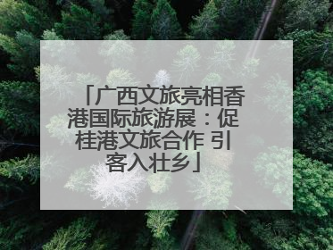 广西文旅亮相香港国际旅游展：促桂港文旅合作 引客入壮乡