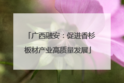 广西融安：促进香杉板材产业高质量发展