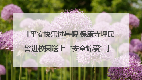 平安快乐过暑假 保康寺坪民警进校园送上“安全锦囊”