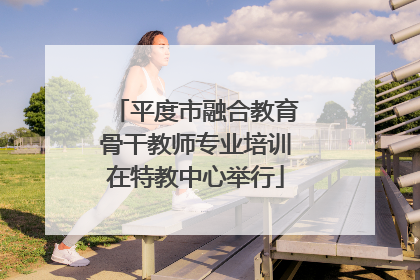 平度市融合教育骨干教师专业培训在特教中心举行