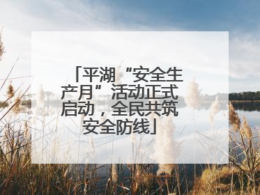 平湖“安全生产月”活动正式启动，全民共筑安全防线