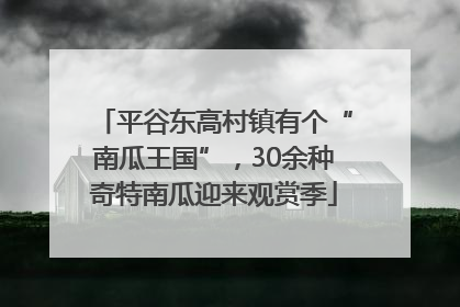 平谷东高村镇有个“南瓜王国”，30余种奇特南瓜迎来观赏季