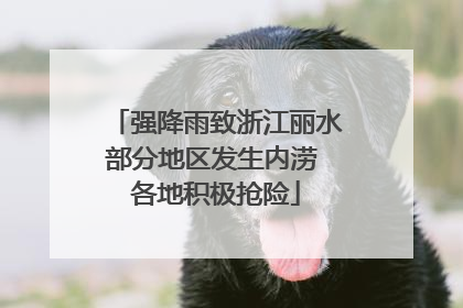 强降雨致浙江丽水部分地区发生内涝 各地积极抢险