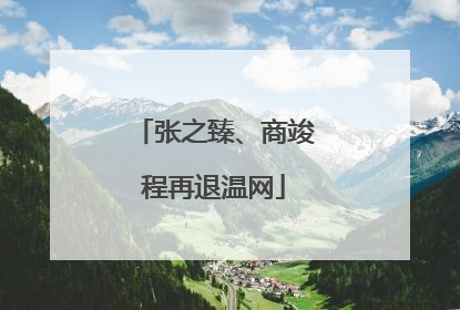 张之臻、商竣程再退温网