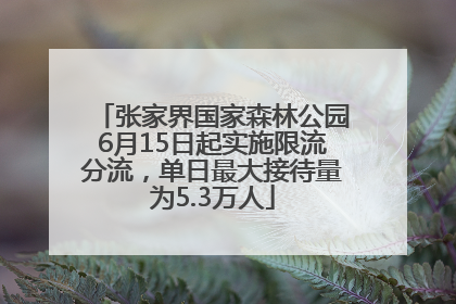 张家界国家森林公园6月15日起实施限流分流，单日最大接待量为5.3万人