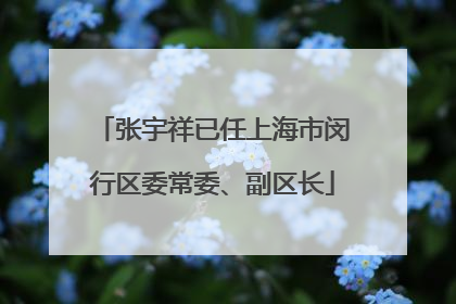 张宇祥已任上海市闵行区委常委、副区长