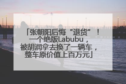 张朝阳后悔“退货”！一个绝版Labubu，被胡润拿去换了一辆车，整车原价值上百万元