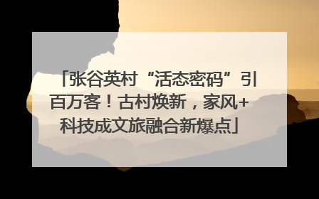 张谷英村“活态密码”引百万客！古村焕新，家风+科技成文旅融合新爆点